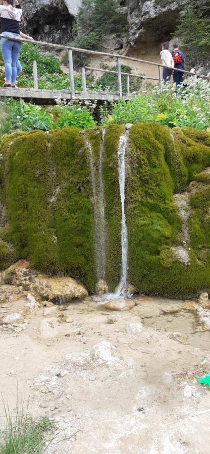 Pensiunea Sura Orăştie エクステリア 写真